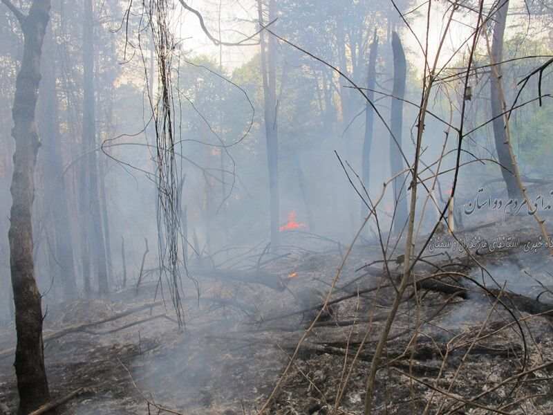 فرهنگسازی و تجهیز روستاها، آتش‌سوزی جنگل‌ها در میامی را به صفر رساند