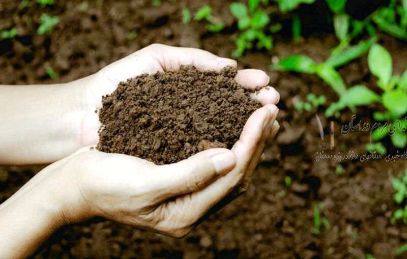کشاورزی ناپایدار، زباله و فعالیت صنعتی، آلاینده‌های خاک هستند
