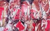 ۱۵۷ تن گوشت منجمد گاو و گوساله در استان سمنان توزیع شد
