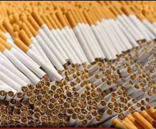 کشف بیش از ۱۰۰ هزار نخ سیگار قاچاق درشاهرود