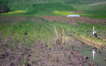 برگزاری بیش از ٣٠ ویژه‌برنامه به‌مناسبت هفته گردشگری در کردستان