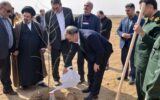 آغاز طرح کشوری کاشت یک میلیارد درخت در استان سمنان